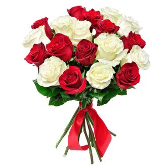 19 красно-белых роз (70 см.)