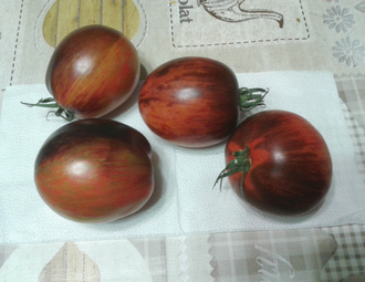 Семена томата Гаргамель от интернет-магазина УралТомат