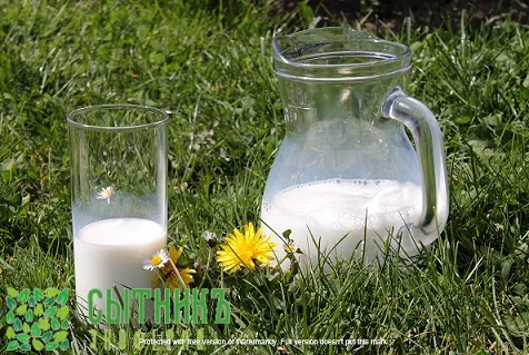 Козье молоко от нубийских коз с доставкой на дом