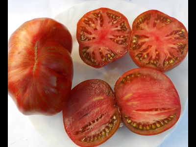 Томат Беркли Тай дай хаат (Berkeley Tie Dye Heart , USA)