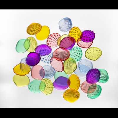 Ракушки морские прозрачные (тактильные) 108 шт.