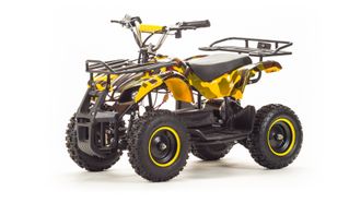 Купить Квадроцикл ATV ZR8 800 Вт