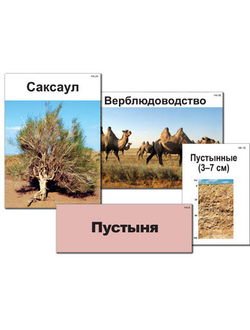 Модель-аппликация "Природные зоны России" (ламинированная)