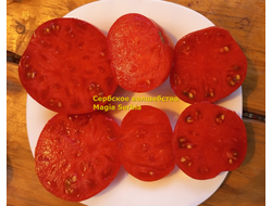 Томат Сербское волшебство (Magia Serbia)