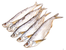 Чехонь вяленая, ТМ Мерка в упаковке 1 кг