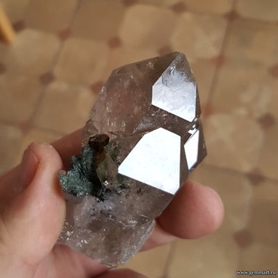 Кристалл сфена (титанита)  на хлорит-серицитовом сланце на друзе дымчатого кварца (раухтопаза) 74*55*42мм