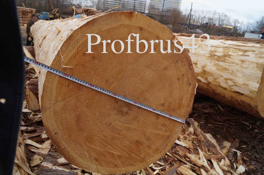 Диаметр бревна 660 мм