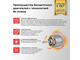 Аккумуляторный бесщеточный ударный гайковерт PROFIPOWER BL-163