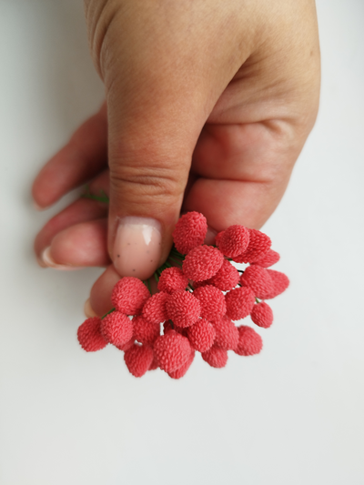 Молд "Земляника лесная "