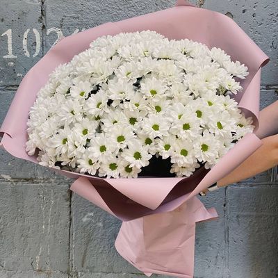 Летние ромашки