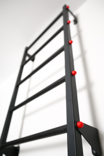 Шведская стенка Ferrum Force F2 купить в Воронеже