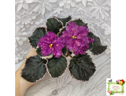 ВаТ-Калейдоскоп (Т. Валькова) 2015 г.