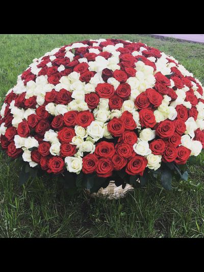 Микс из 201 розы в корзине