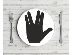 Тарелка Star Trek, Стартрек №2