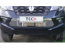 Решетка радиатора 16 мм 2 шт ТСС для Oting ПАЛАDИН 2024-