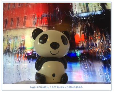 Видеоняня Panda WiFi-LAN видеокамера с DVR , HD (MIPC)