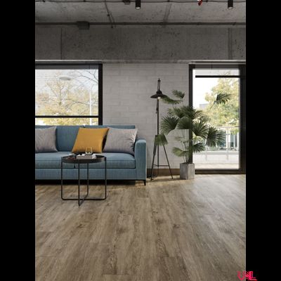 SPC ламинат Alpine Floor Grand Sequoia Венге Грей ECO 11-808 МС