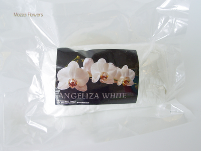 Полимерная глина Angelliza white (Белоснежная)