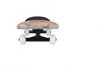 Plank Скейтборд Frosty