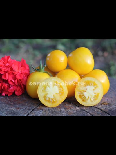Томат Bosque Blue Bumblebee (Боске Блю Бамблби), 10 шт.