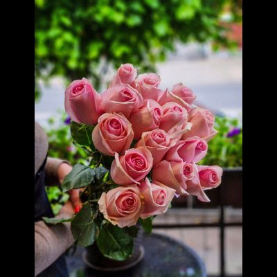 Роза Эквадор 70 см 15 шт