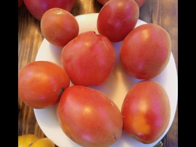 Томат Минусинские лапти опушенные