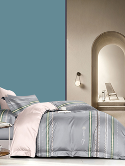 Постельное белье TANGO фланель евро 200x220x1 245x250x1 50x70x2 MOMAE186