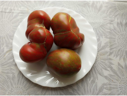 Томат Беркли Тай дай хаат (Berkeley Tie Dye Heart , USA)