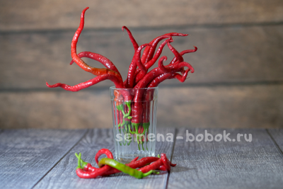 Перец острый Kil Biber, 10 шт