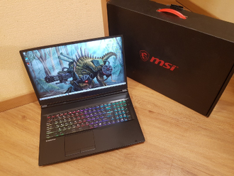 MSI GL75 9SFK-1264RU ( 17.3 FHD IPS 120HZ I7-9750H RTX2070(8GB) 16GB SSD 1TB)