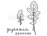 ФП штамп &quot;Руккола&quot;