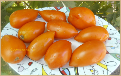 Томат Сосулька желтая