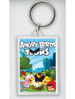 Брелок Angry Birds № 6