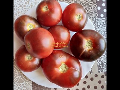 Томат Шеф Юбер (Chef Hubert)