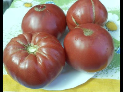 Болгарский дракон (Българска хала)