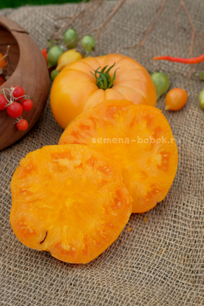 Томат Apricot Brandywine (Абрикосовый Брендивайн), 10 шт