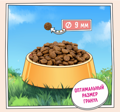 ZILLII Adult Dog Small Breed Sensitive Digestion Сухой корм для взрослых собак мелких пород с чувствительным пищеварением  Белая Рыба с Лососем 0.8 кг