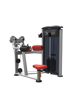 IT9524 - Дельтовидные