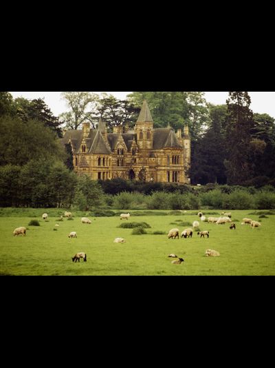 Купить греющую картину с фото отель в Эттингтонском парке, Статфорд, Англия