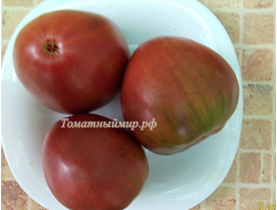 Томат Бычок черный (Казахстан)