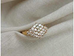 Сиятельная особа