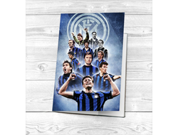 Обложка на паспорт Интер, FC Inter №9