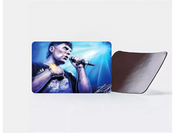 Магнит виниловый Сектор Газа, Юрий Хой №22