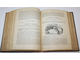 Холодковский Н.А., Силантьев А.А. Птицы Европы. СПб.: Тип. А.Ф.Девриена, 1901.