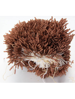 Тычинки Сахарные около 140 нитей , цвет коричневый