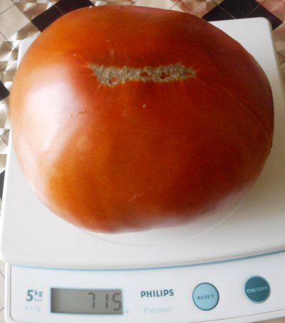 Томат Минусинские шары (усл)