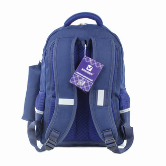 Рюкзак BRAUBERG с пеналом в комплекте, эрго-спинка, для мальчиков, "Орел", 42х29х14 см, 227853