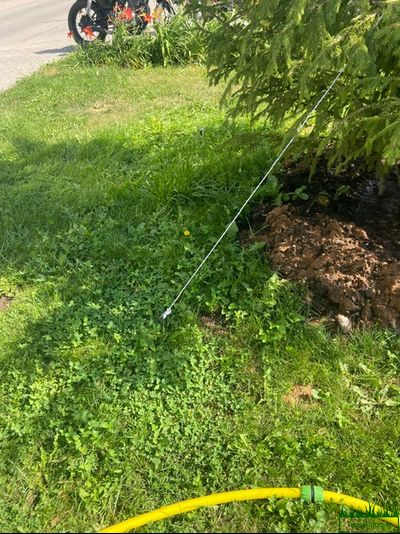 Анкер для растяжки деревьев 50 см.