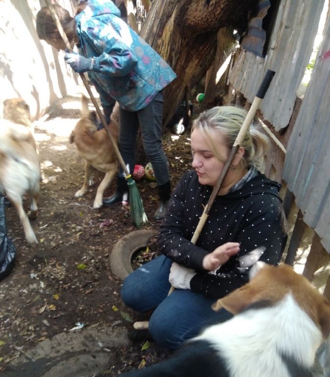 Приют лохматый ангел. Бездомная лохматая собака. Лохматые судьбы приют для животных. Лохматые судьбы приют для животных. Приют для собак судьбы лохматых в новочеркасске.