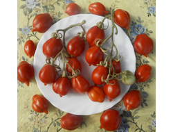 Томат Гора Везувий (Mt.Vesuvius, Mountain Vesuvius)